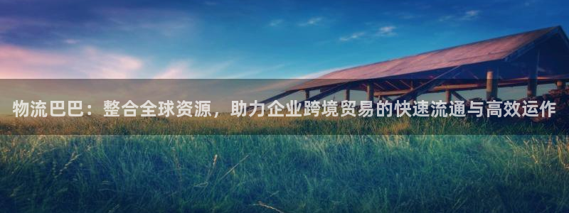 28圈注册上限是啥意思：物流巴巴：整合全球资源，助力企业跨境