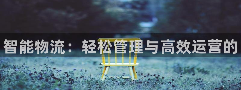 28圈pc预测：智能物流：轻松管理与高效运营的