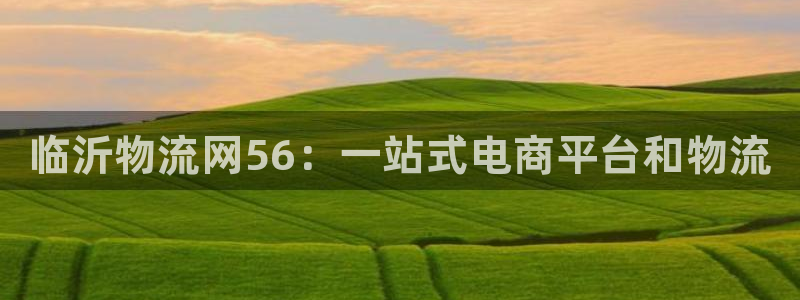 28圈能退款吗:临沂物流网56:一站