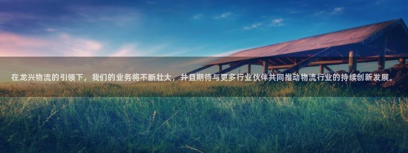 28圈机器人是什么软件：在龙兴物流的引领下，我们的业务将不断